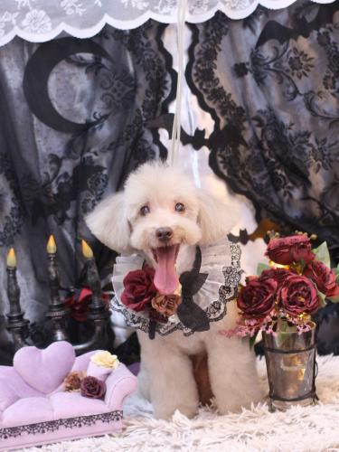 20231025ロンくん